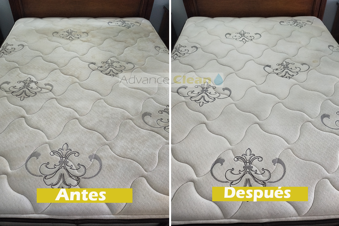 Limpieza de colchon